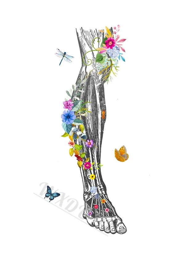 Butterflies Aesthetics Nordic Style Anatomy Art Canvas Print Posters for Home and Hospital Decor