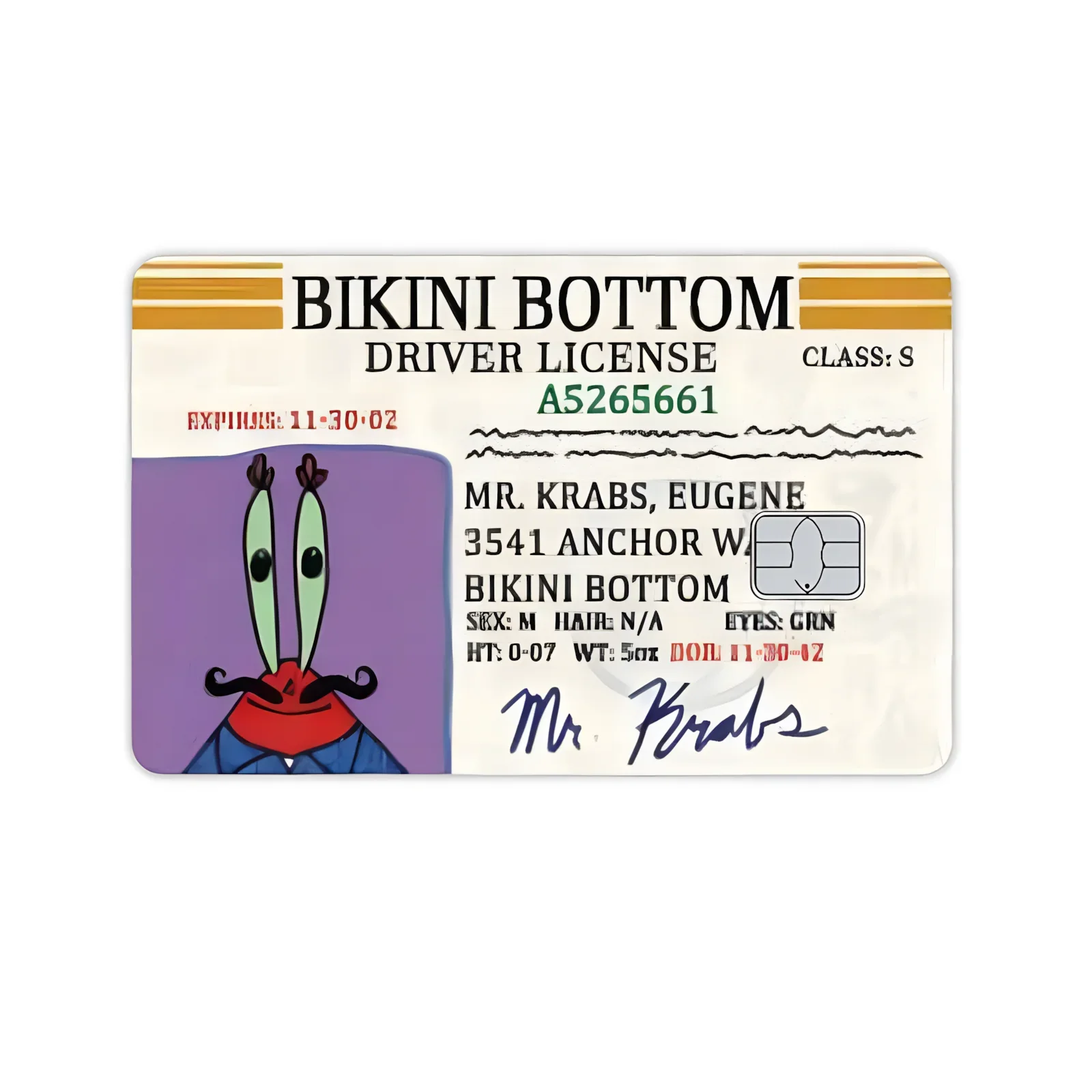 Name Spongebob Karten-Aufkleber DIY Kawaii Deko Exquisite Bankkarten Schüler-Lernmaterialien Aufkleber Dokumenten-Patches Geburtstagsgeschenk – Detail 20