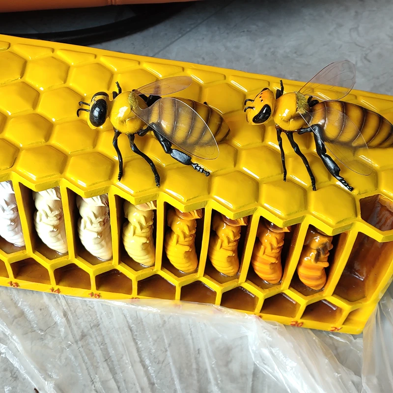 Large Bee Life Cycle Mold Beekeeping Education Teaching Mold, GFRP Glass Fiber Reinforced Plastics Material Bee Life Mold 4