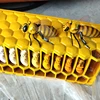 Large Bee Life Cycle Mold Beekeeping Education Teaching Mold, GFRP Glass Fiber Reinforced Plastics Material Bee Life Mold 4