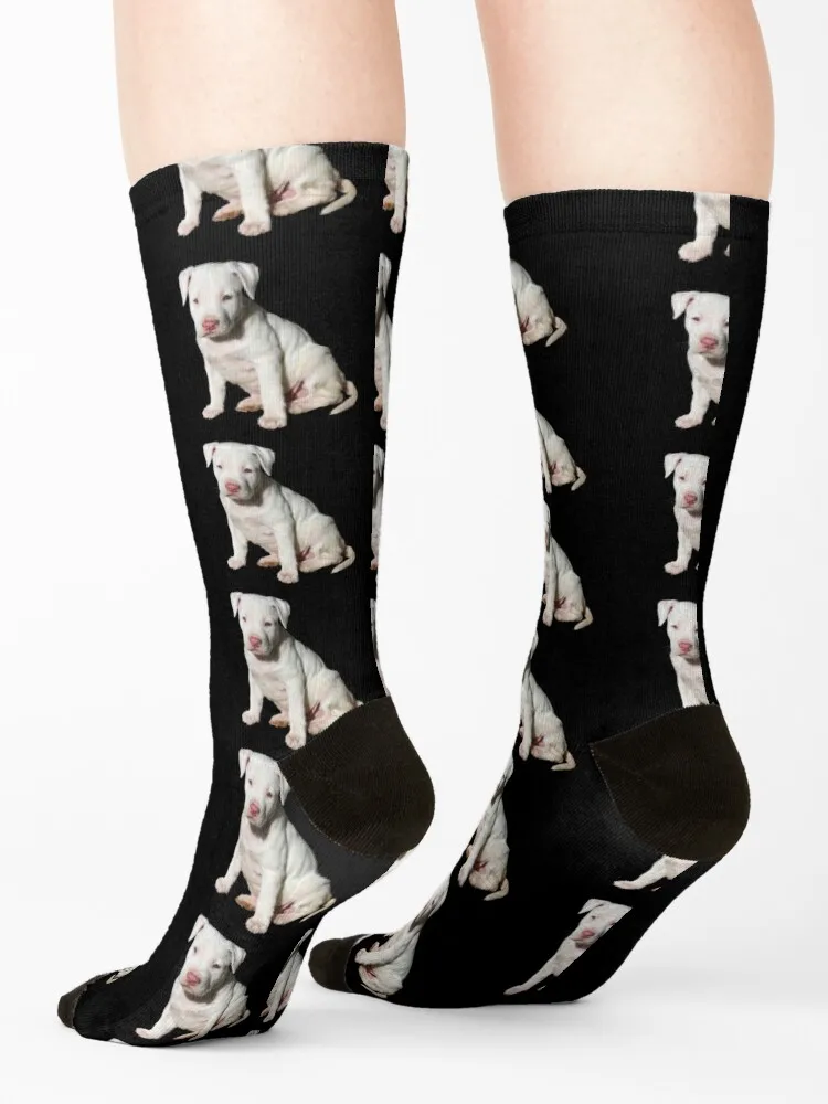 White Pitbull Puppy Socks golf custom socks christmass gift socks designer brand Men Socks Women's
