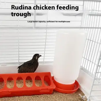 Poultry Feeder & Drinker 4