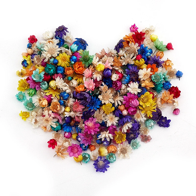 Artificial Flower 200or100 Pcs Dried For Epoxy Resin DIY Art Craft Candle Jewellery Making Glass Cover Ball Filler Accessories