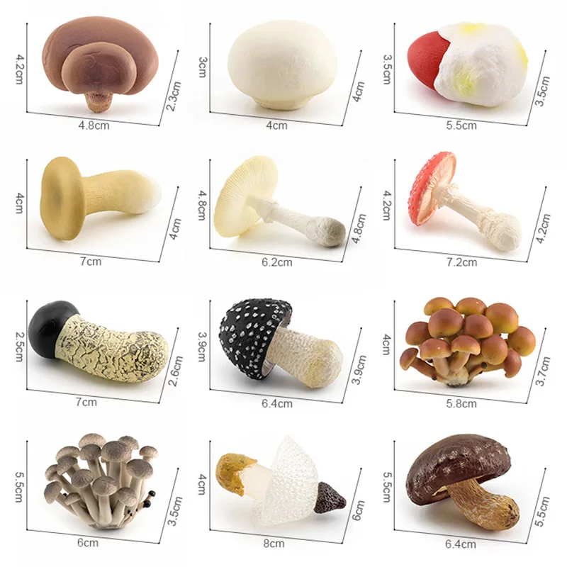 Simulation mushroom set Shiitake mushroom true Ji mushroom Slime mushroom Matsutake poison rope umbrella twin mushroom model toy 6