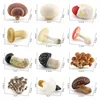 Simulation mushroom set Shiitake mushroom true Ji mushroom Slime mushroom Matsutake poison rope umbrella twin mushroom model toy 6