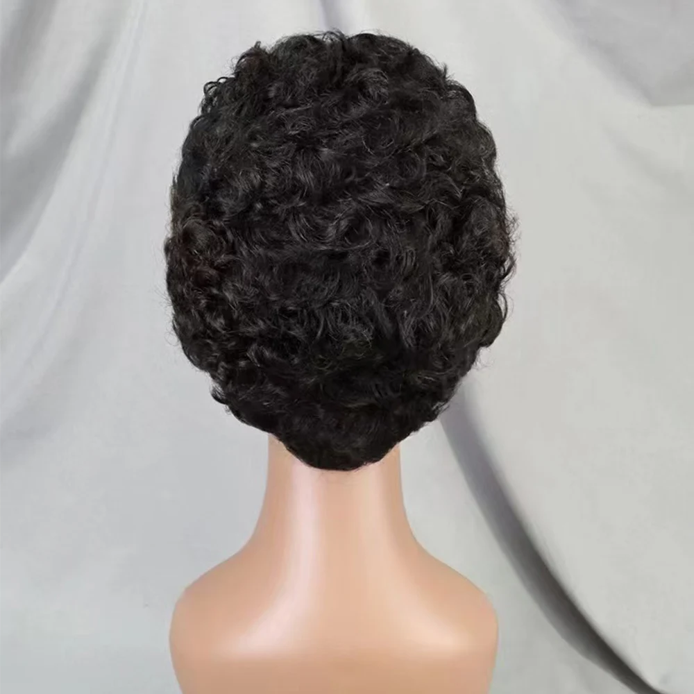 13x4 Lace Frontal Short Pixie Cut Curly Wave  Human Hair Wigs 180% Density 13x4 Lace Front Human Hair Wig for Black Women