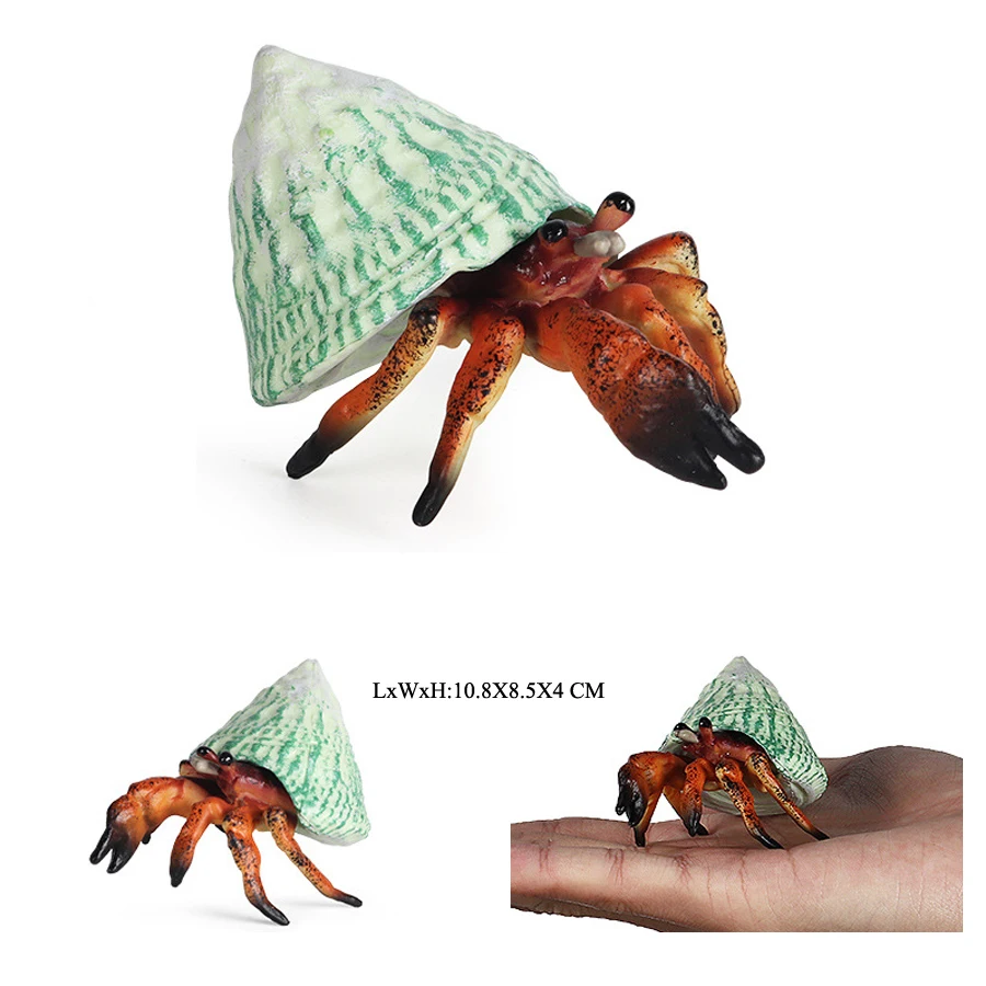 Realistische Ozean Tiere Einsiedlerkrebs Kokosnuss Krabbe Fiddler Krabbe Meer Leben Modell Action-figuren Meerestiere Spielzeug Für Home Decorati – Detail 17