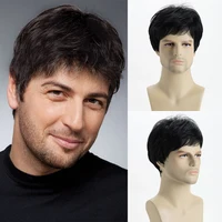 Cheveux bouclés naturels courts pour jeunes hommes, perruques synthétiques en fibres résistantes à la chaleur 5