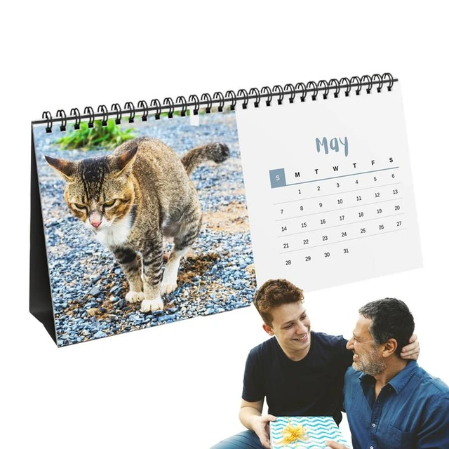 Calendrier mural drôle de chat portable, 12 mois, pendu, flipping, mensuel,  à partir de janvier 2024 décembre 2024, 2024 - AliExpress