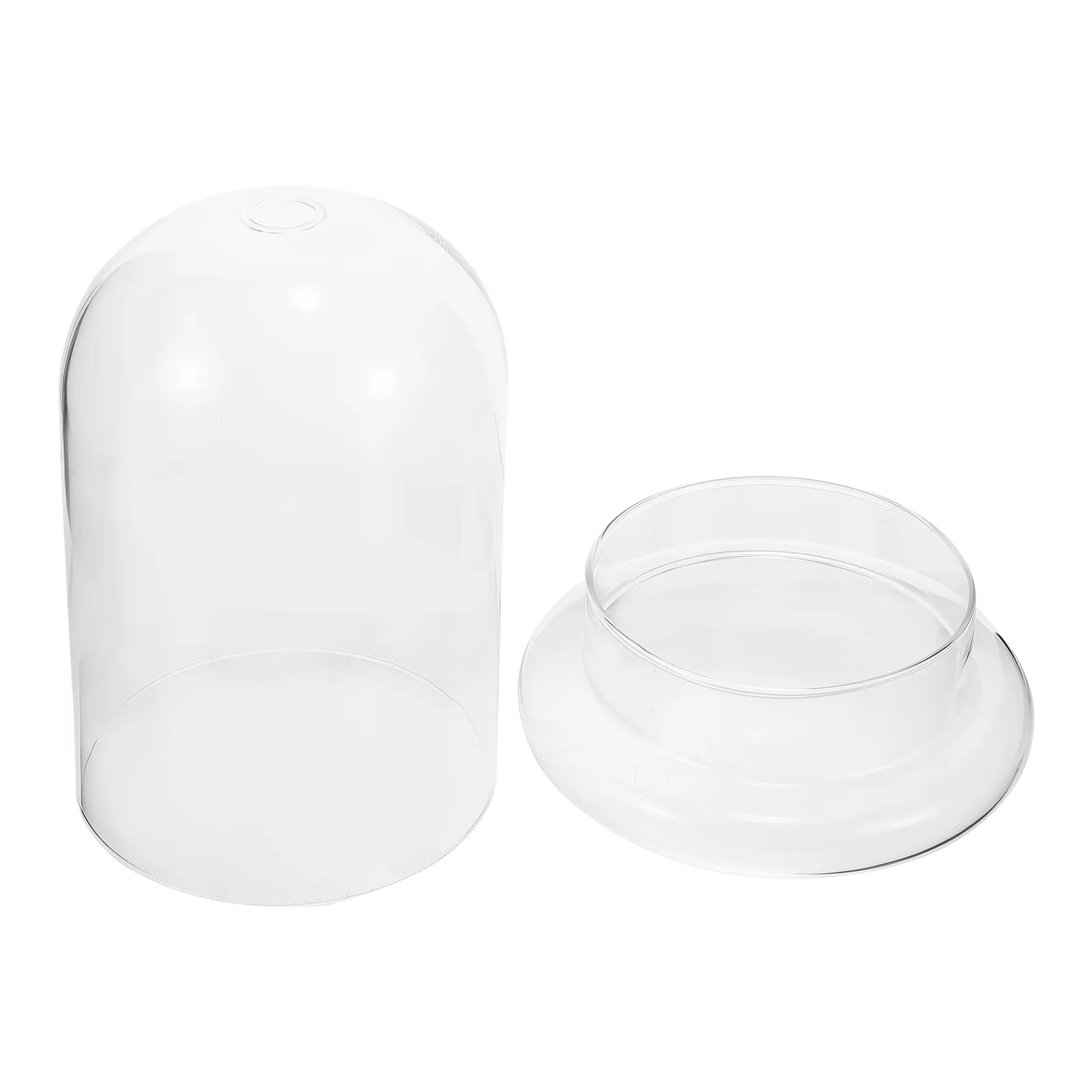 Moss Eco Bottle Plants Glass Cloche Bell Artificial Micro Landscape Accessory Clear Dome Display Ecological Desk Terrarium 4