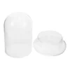 Moss Eco Bottle Plants Glass Cloche Bell Artificial Micro Landscape Accessory Clear Dome Display Ecological Desk Terrarium 4