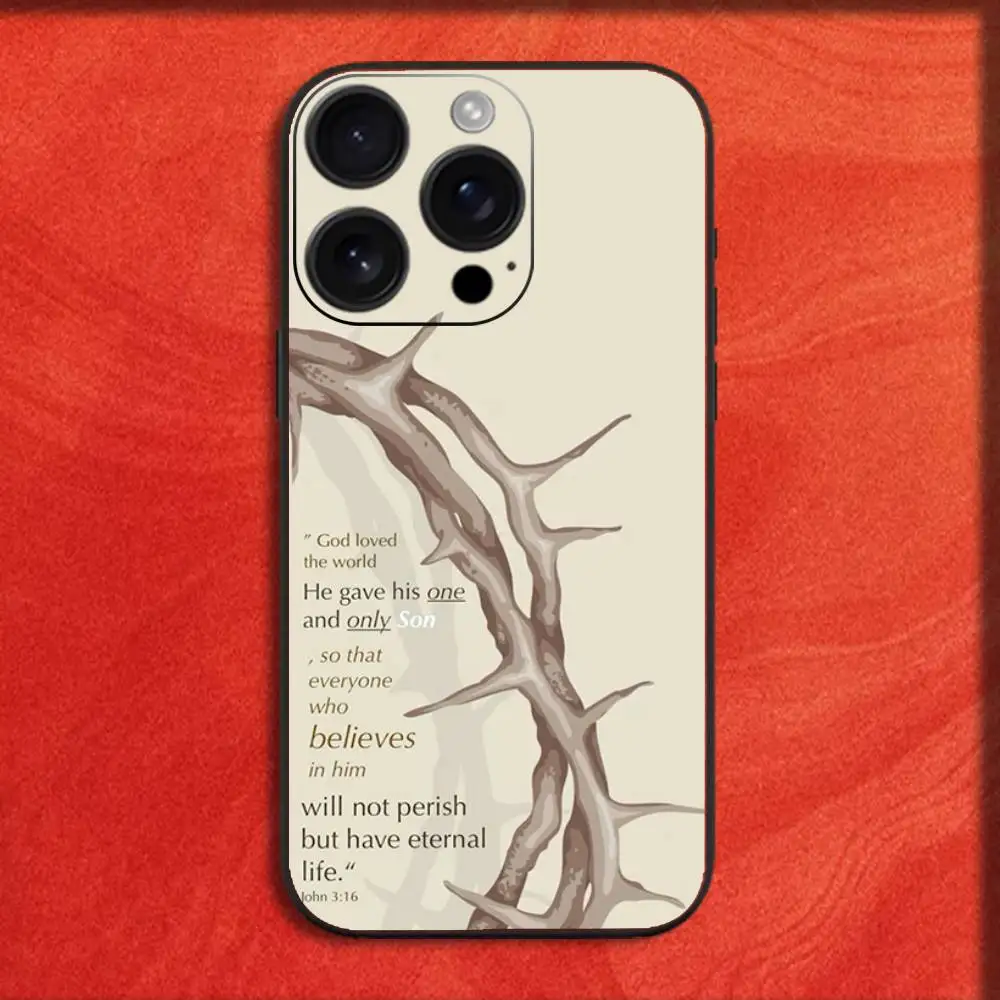 z6
