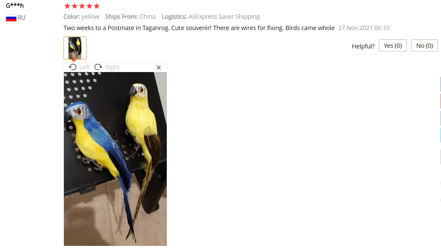 Description Picture 6 of item25cm Handmade Simulation Parrot Creative Feather Lawn Figurine Ornament Animal Bird Garden Prop Decoration 12/13/14/15/16CM