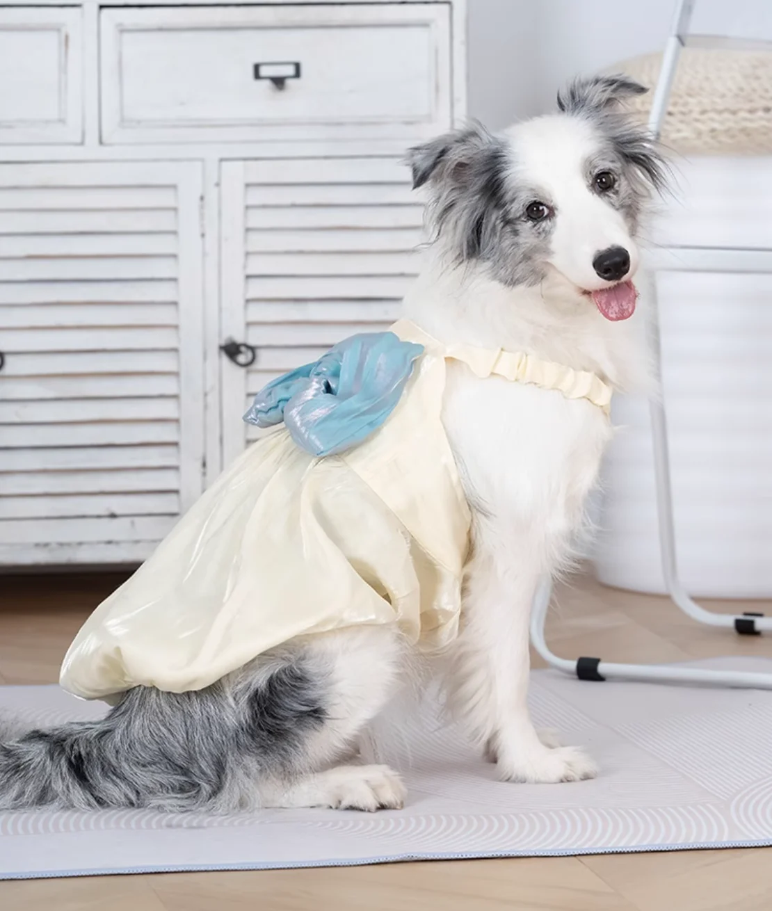 Japanese Akita Large Dog Costume Summer Big Dog Clothes