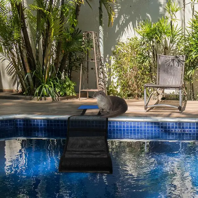 Kedvtelésből Tartott Kutya Állati Mentő Menekülési Rámpák Úszó Medence Állatvédelmi Szerszám Kültéri Állatok Számára - Image 4