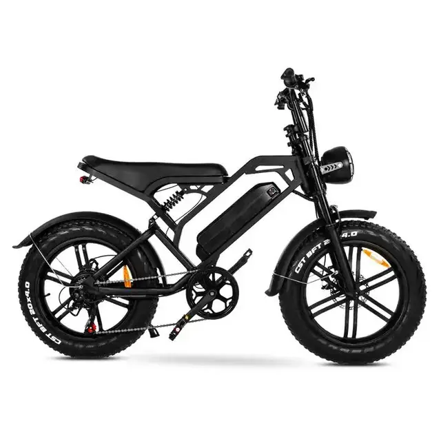 Vélo Électrique 2026 en Stock – Fatbike Électrique Tout-Terrain Pas Cher (UE) – Vélo Électrique 20 Pouces à Pneus Larges – Moto Électrique – Direct Usine 1