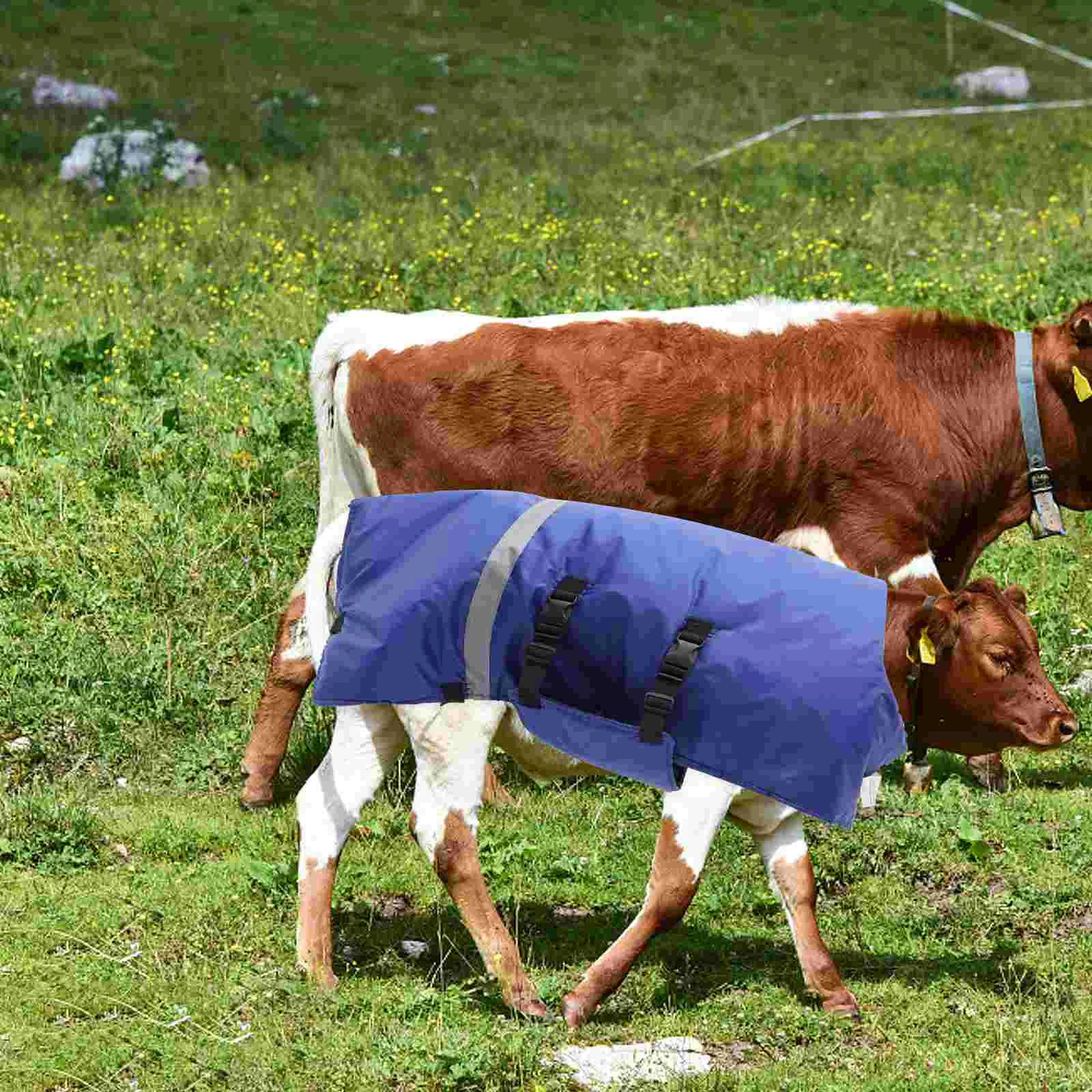 Calf Vest Winter Clothing Jacket with Hat for Reducing Illness Goat Ranch Linoleum Cold Weather Windproof 2