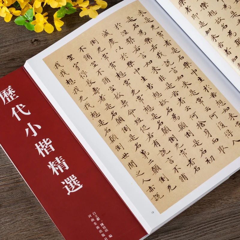 

Calligraphy Copybook Book Past Dynasties Small Regular Script Calligraphy Works Essence Chinese Inscriptions Rubbings Brush Book