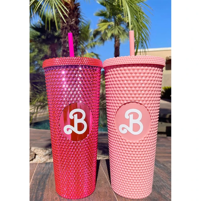 24oz Matte & Glossy Studded Double Walled Tumbler