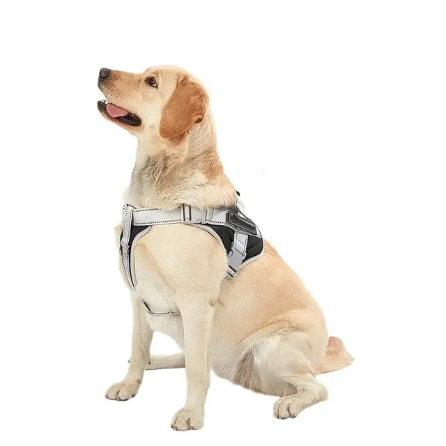 Reflective Dog Harness and Leash Set for Small and Medium Dogs - Adjustable and Comfortable Pet Vest for Safe Walking and Runnin 6