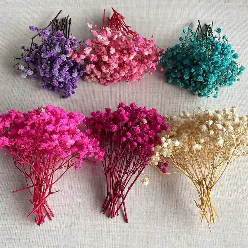 YIWOYI Natuurlijke droge bloem Gypsophila vers gedroogde geconserveerde bloemen Gypsophila Paniculata Adem Bloem Boeketten Voor Bruiloft Feest Thuis Decoratie (Roze paars, 15-30cm20g