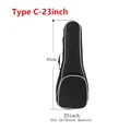 Type C-23inch