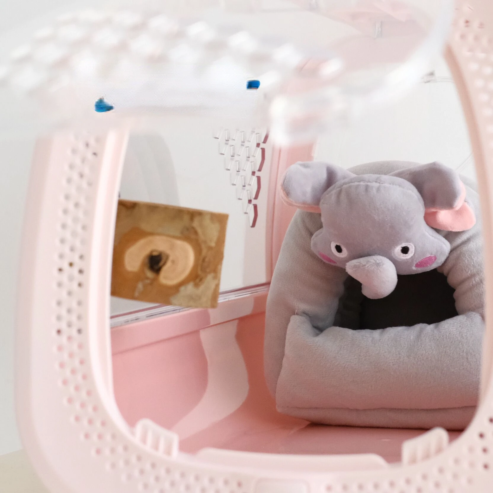 Рисунок 5 - Прозрачный попугай из клетки из