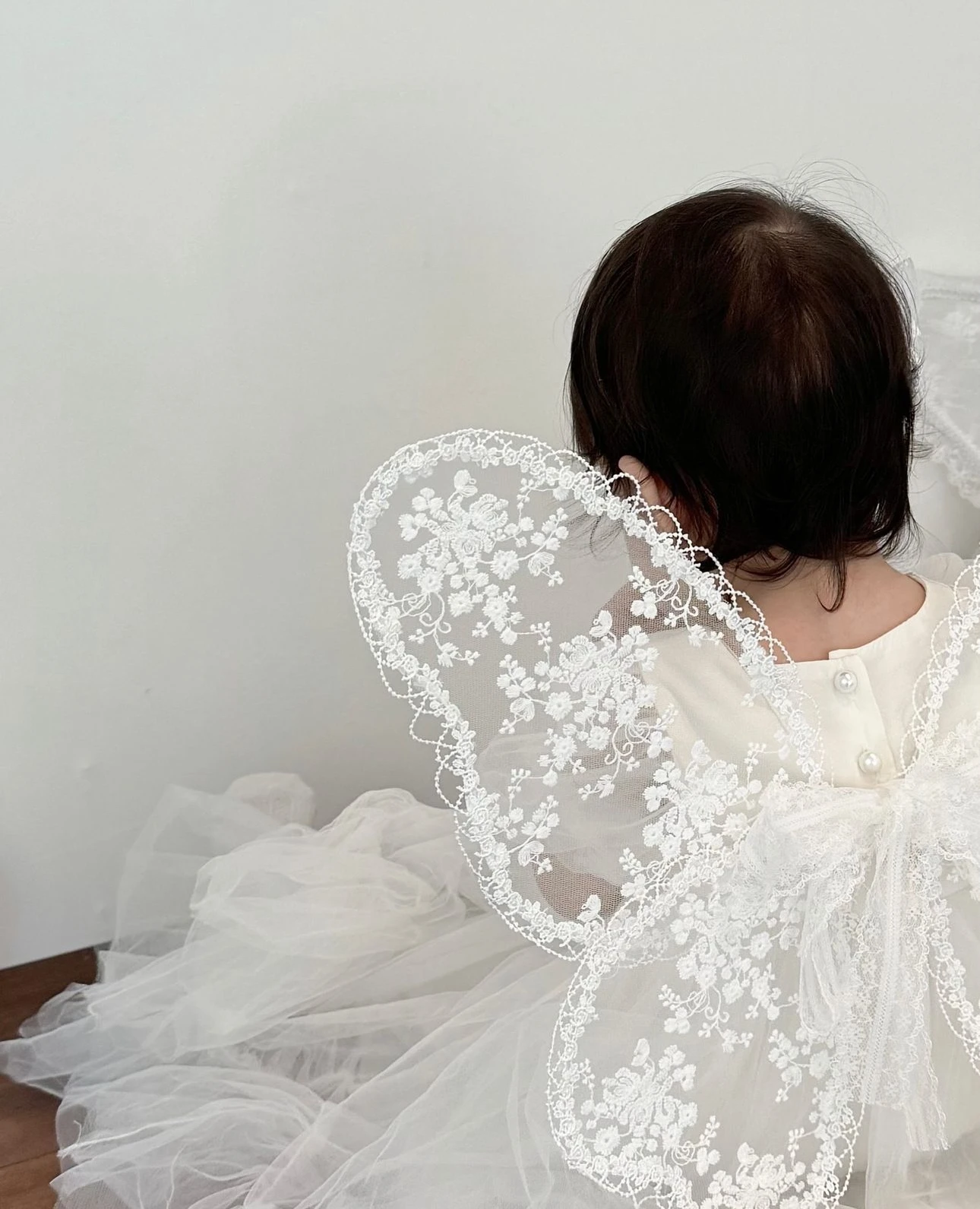 Embroidered Lace  Fairy Angel Wings Ba Decor Children's Birthday Stage Photo Performance Props Fairy Costume Acces...