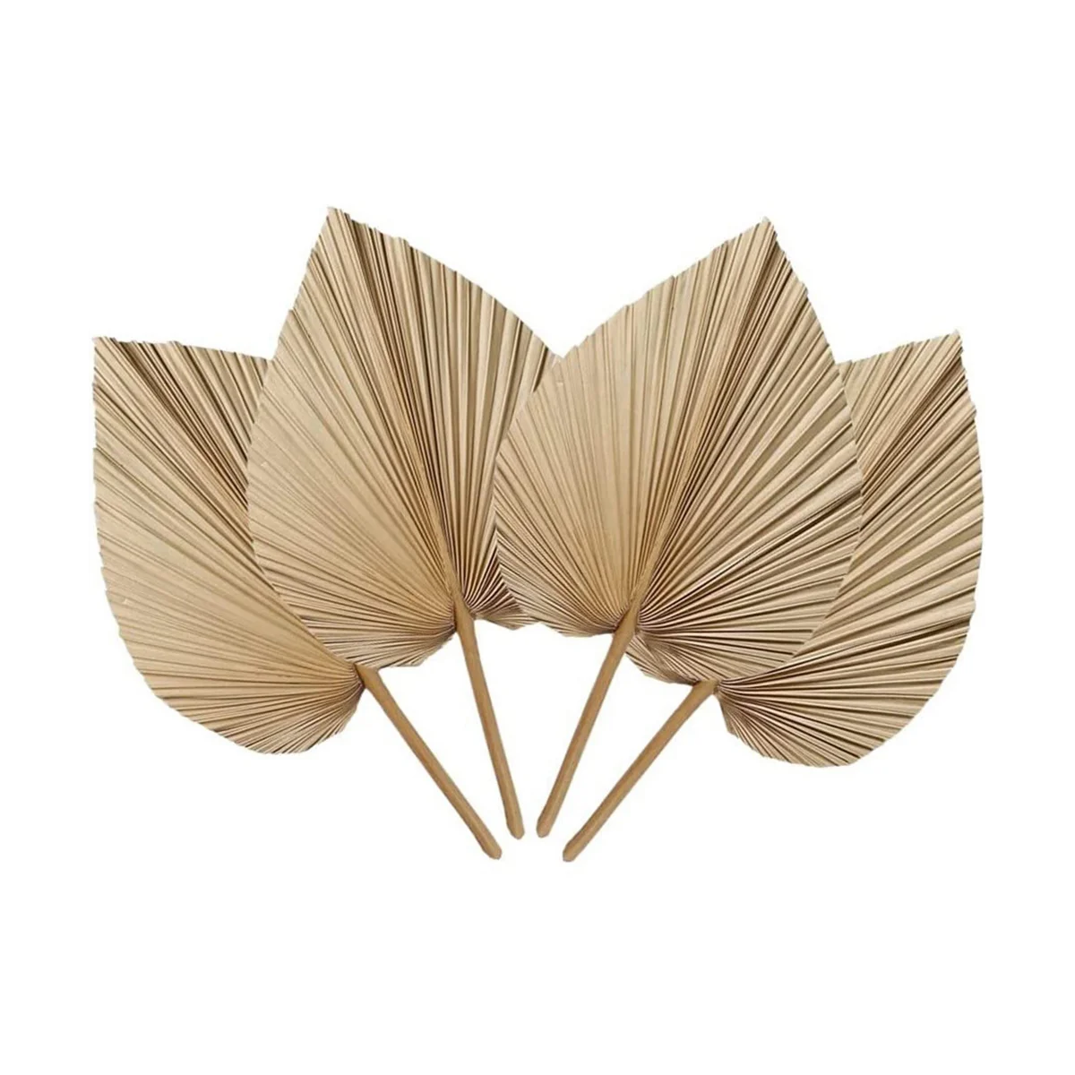 4 Pieces Natural Dried Palm Leaves for Palm Leaf Decor Boho Decor Home Wedding dried palm leaves
