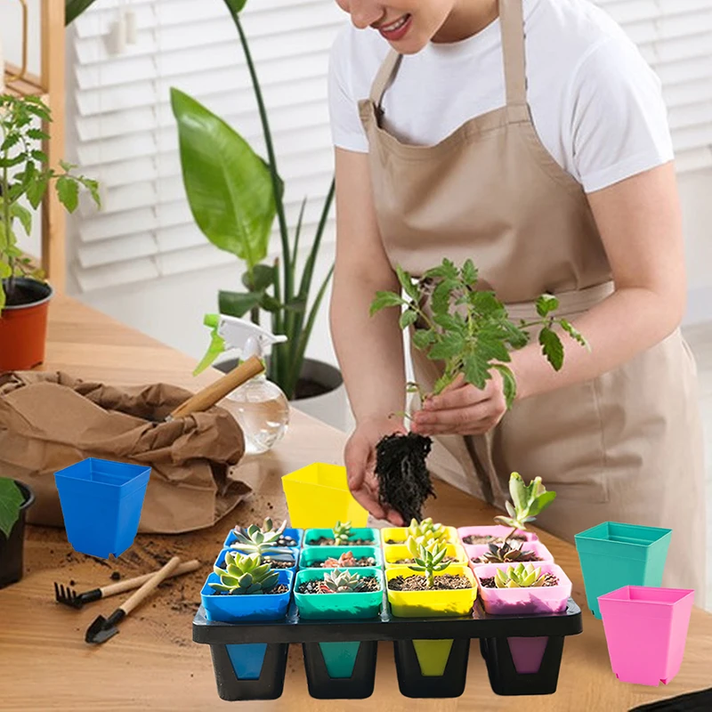 germination seedlings tray with Flower Pots Storage Grow indoor cultivation plant gadgets greenhouse germinator container
