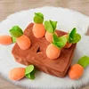 Baby Montessori Toys For Toddler Toys Educational Colorful Shape Toy Pull Carrot Set Counting Discouvery Toys For Kids Learning 1