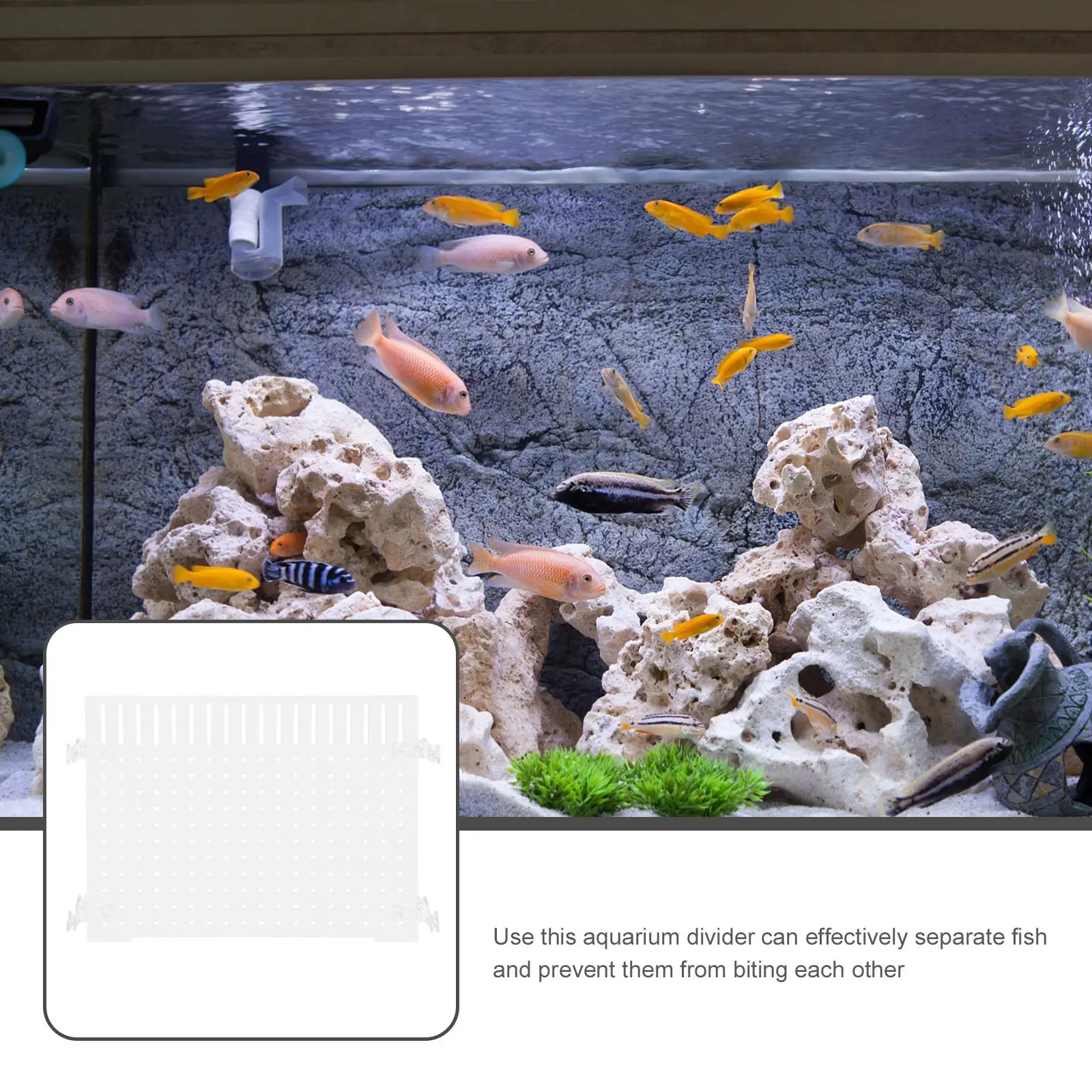 Fish Tank Isolation Board Divider With Suction Cup Separator Acrylic Aquarium Baffle For Transparent Fish Tank Divider