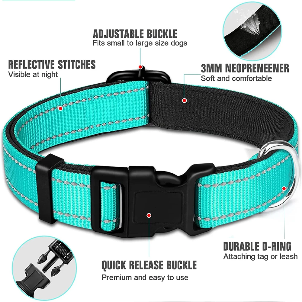 Collars for large dogs - Premium accessories