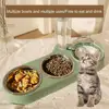 High-Capacity Pet Feeder Bowl Set with Beveled Mouth Automatic Drinking Water Splash-Proof Multi-Functional Cat Dog Food Bowl 5