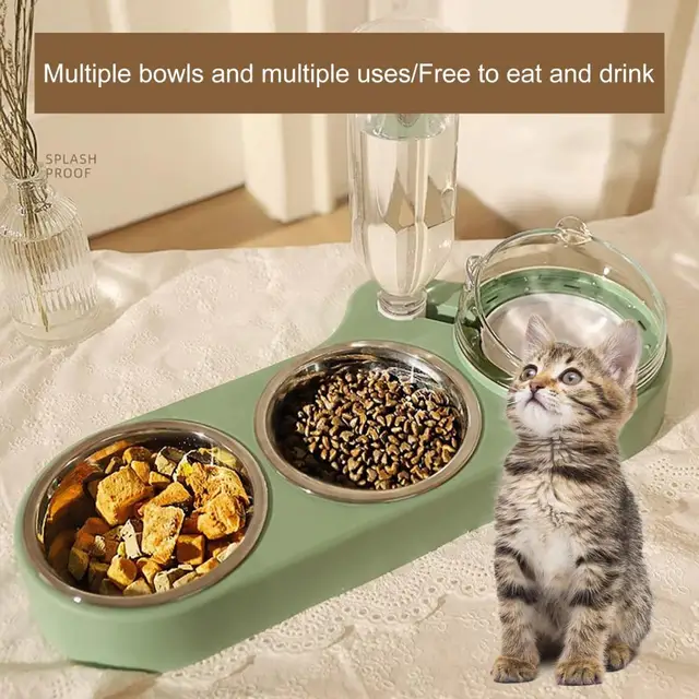 High-Capacity Pet Feeder Bowl Set with Beveled Mouth Automatic Drinking Water Splash-Proof Multi-Functional Cat Dog Food Bowl 5