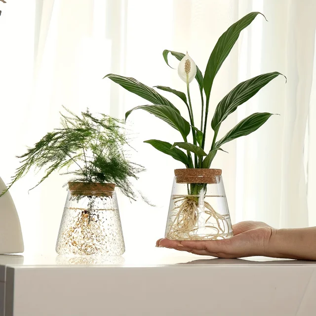 Glass Propagation Planter Vase 3