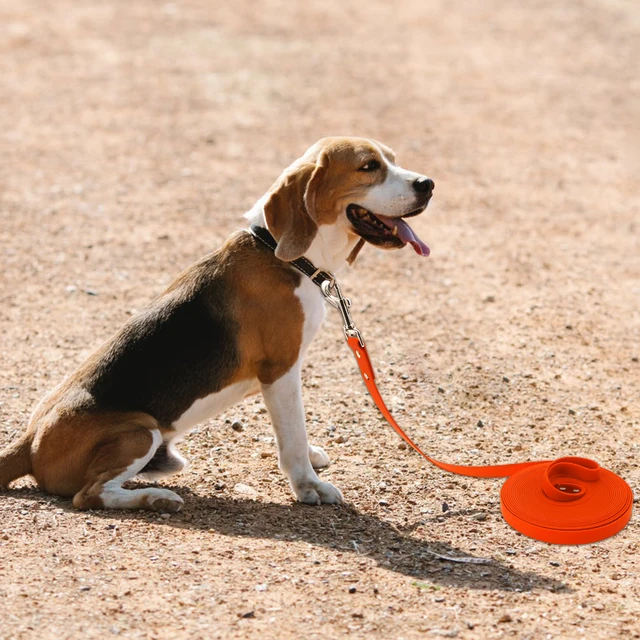 Waterproof Dog Leash Long Pvc Pet Leashes Easy To Clean Rope for Small Medium Large Big Dogs Walking Traning Lead 3m 5m10m 15m 6