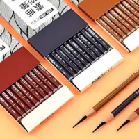 Professional Charcoal Pencils Drawing Set 10 Pieces Soft, Medium & Hard Charcoal Pencils for Drawing, Sketching, Shading 1
