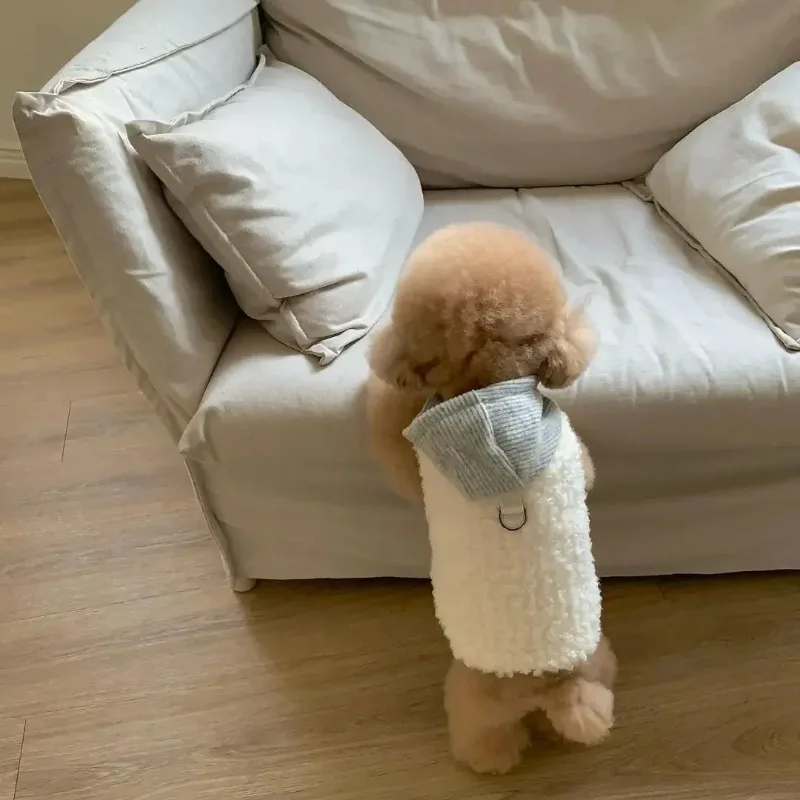 Pet Jacket for Small Medium Dog in Winter pet jacket dog sweater