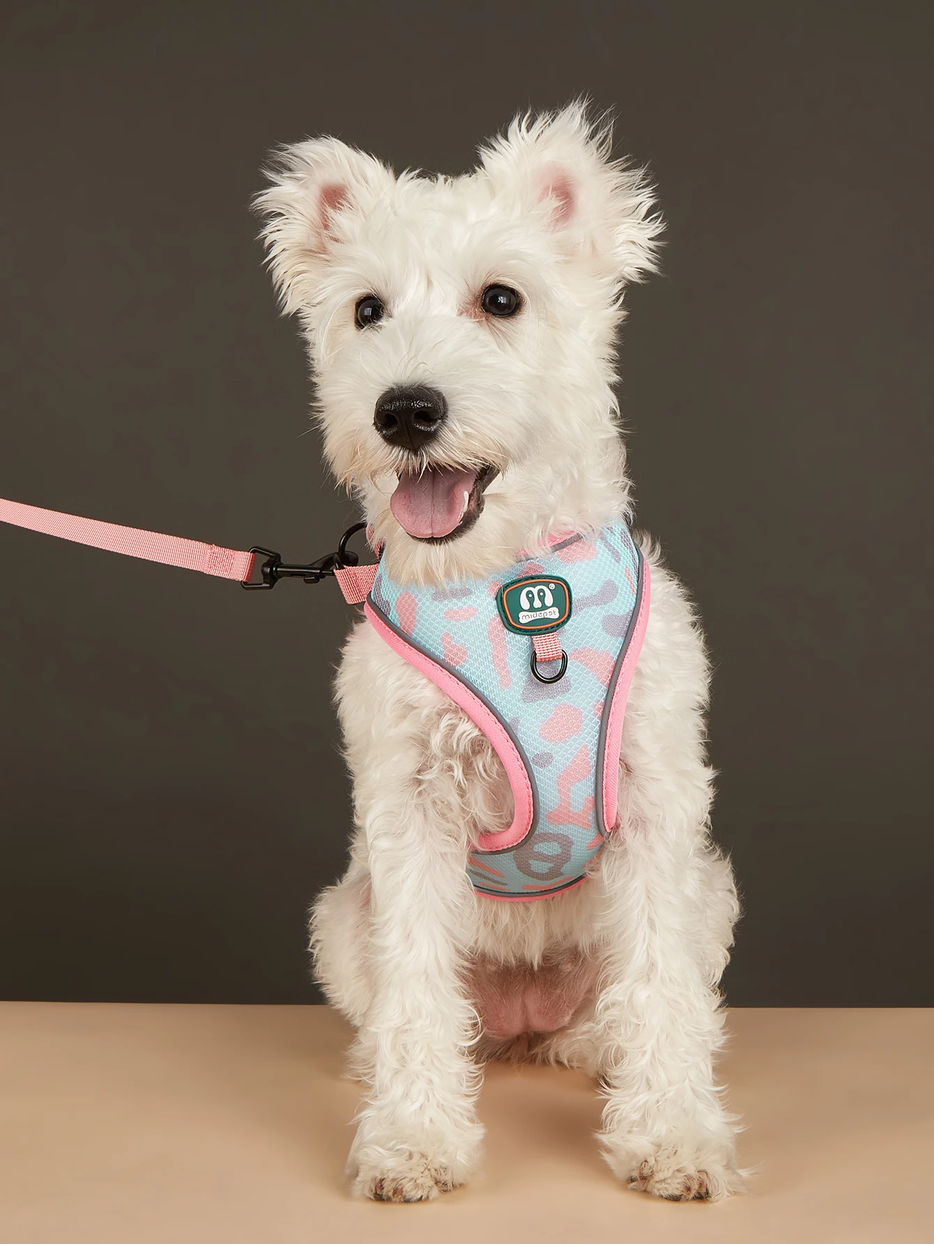 New Arrives Adjustable Soft Mesh With Fashionable Design Pet Harness And Leash Set 4