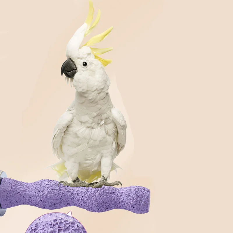 Parrot Standing Sticks Bird Supplies Bird Cage Accessories Parrot Toys Frosted Claw Stand Frosted Standing Sticks Bird Stands