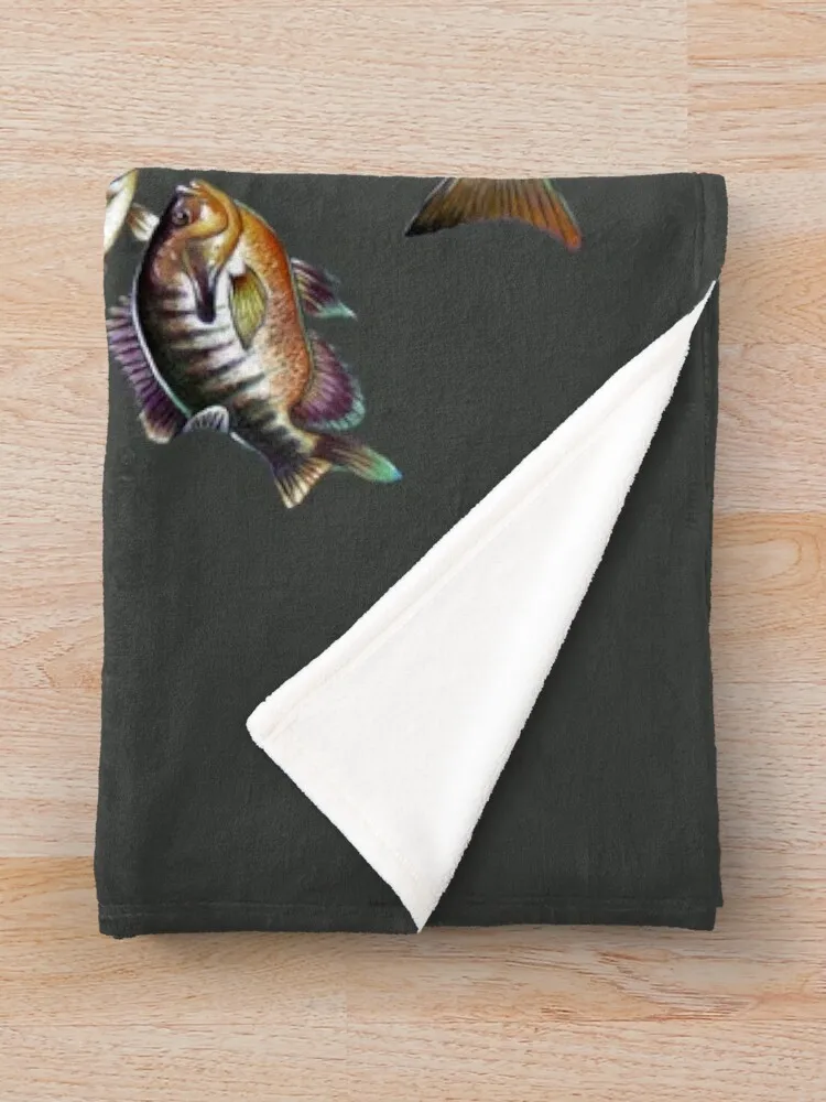 ���� ���� ������ ���, ���� ���, ħ��� ������ ���