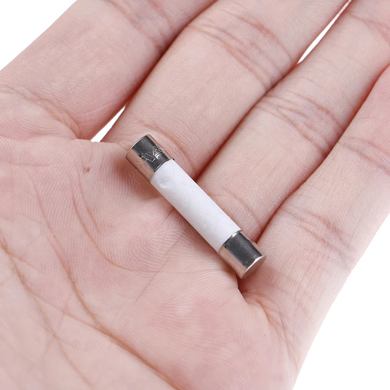 10 Pcs Ceramic Fuse Microwave Electric 20A 250V Home Supplies DIY 6x30mm
