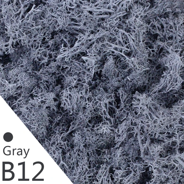 B12