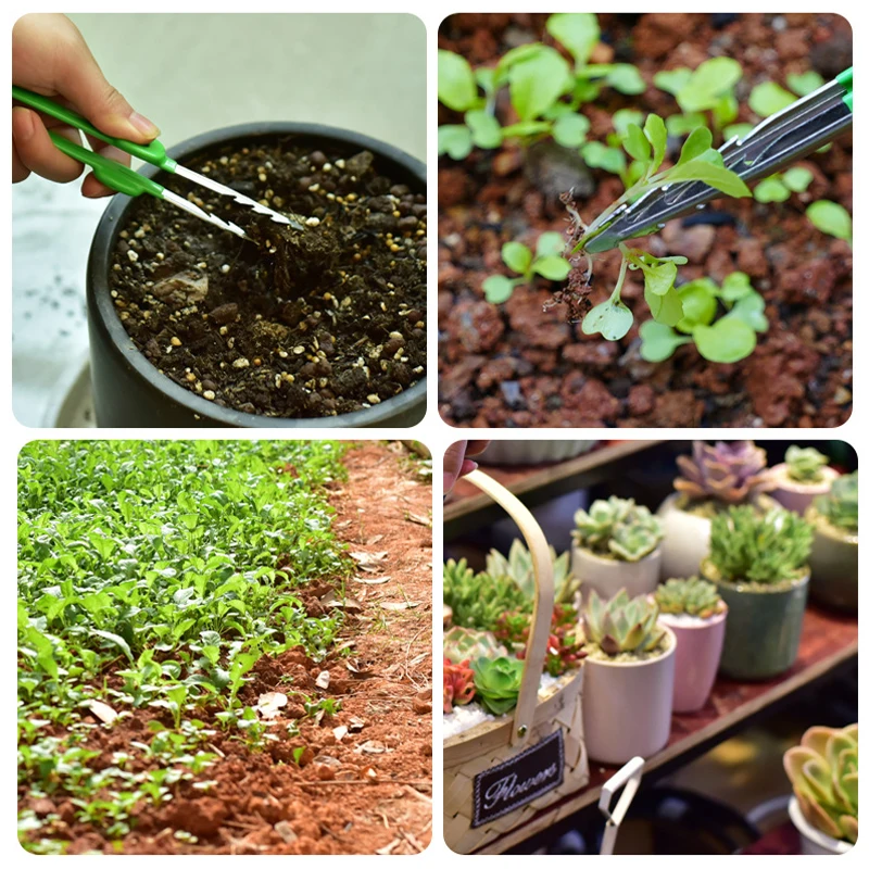 Pinzette Per Bonsai In Acciaio Inossidabile - Manico Lungo, Per Giardinaggio, Rimozione Foglie Morte E Muschio - Foto 9