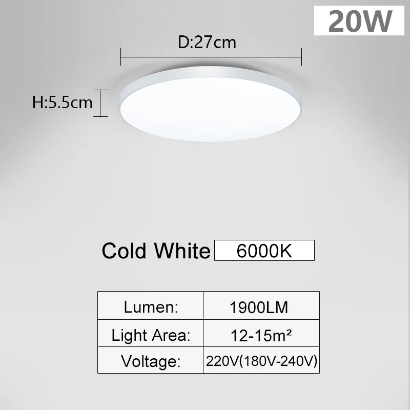 20W