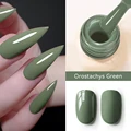 Orostachys Green