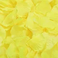 23 Yellow