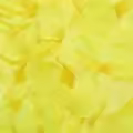 23 Yellow
