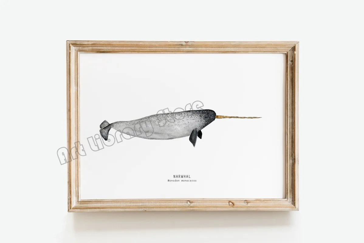 Marine Life Ocean Animals Canvas Art Poster - Whales, Sharks, and Turtles